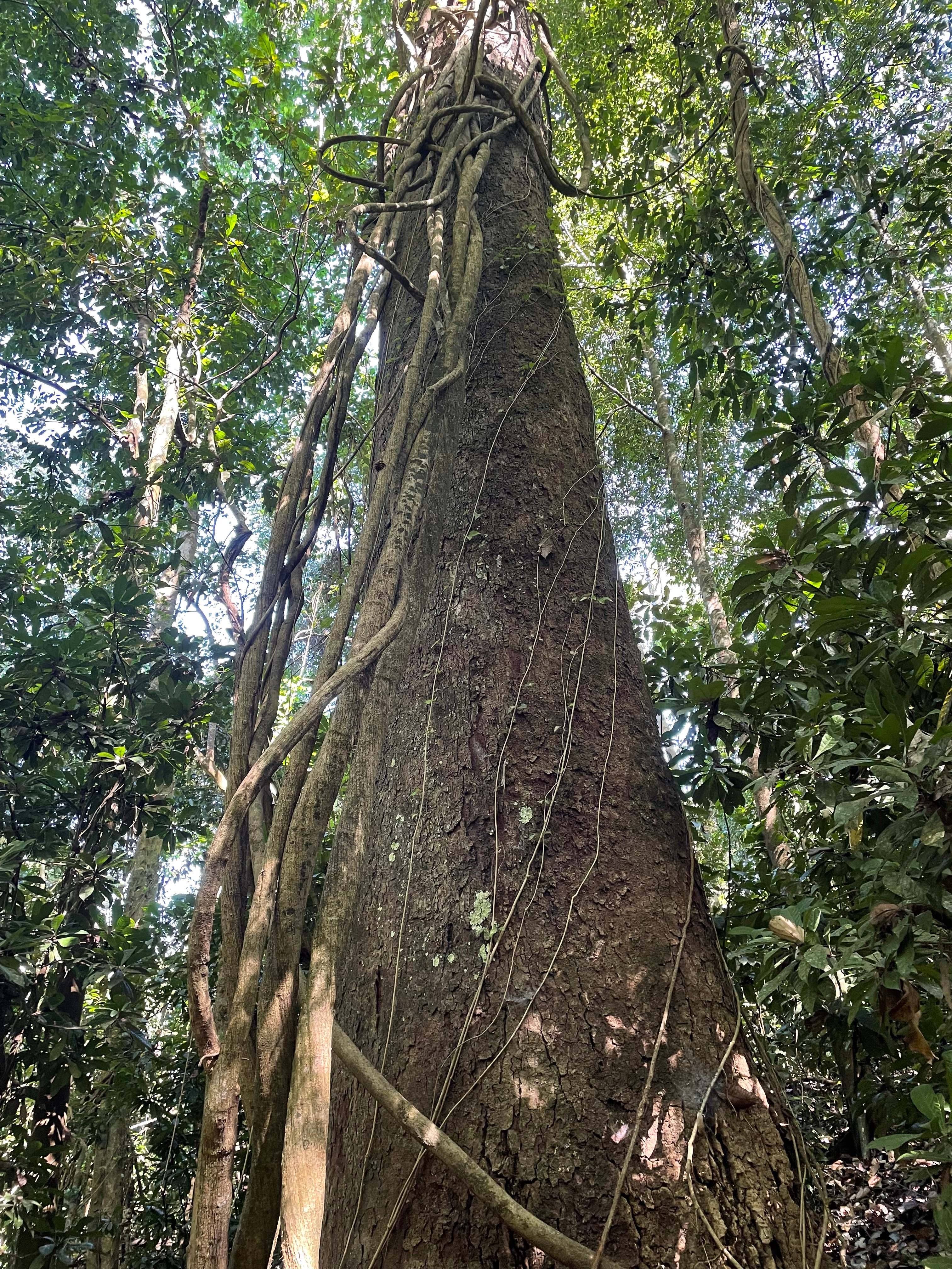 Costa Rica